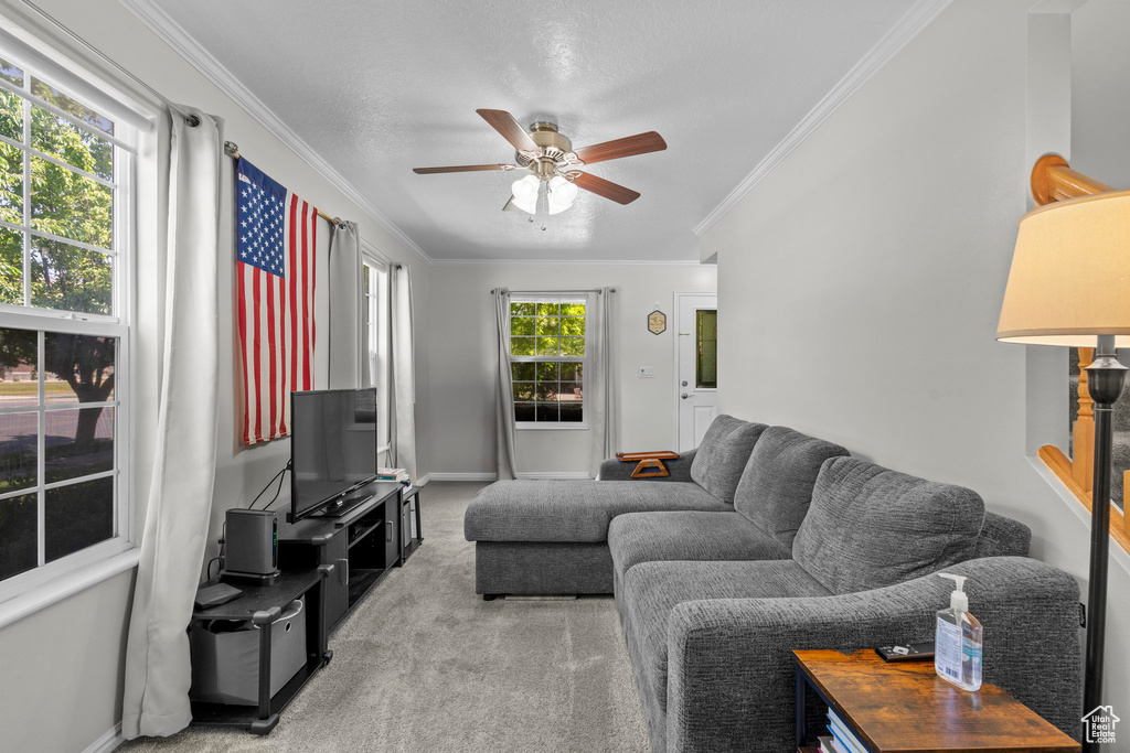 Living room with ornamental molding, ceiling fan, and light carpet