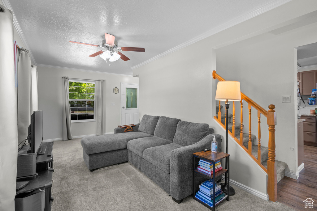 Carpeted living room with a ceiling fan, ornamental molding, stairs, and a textured ceiling