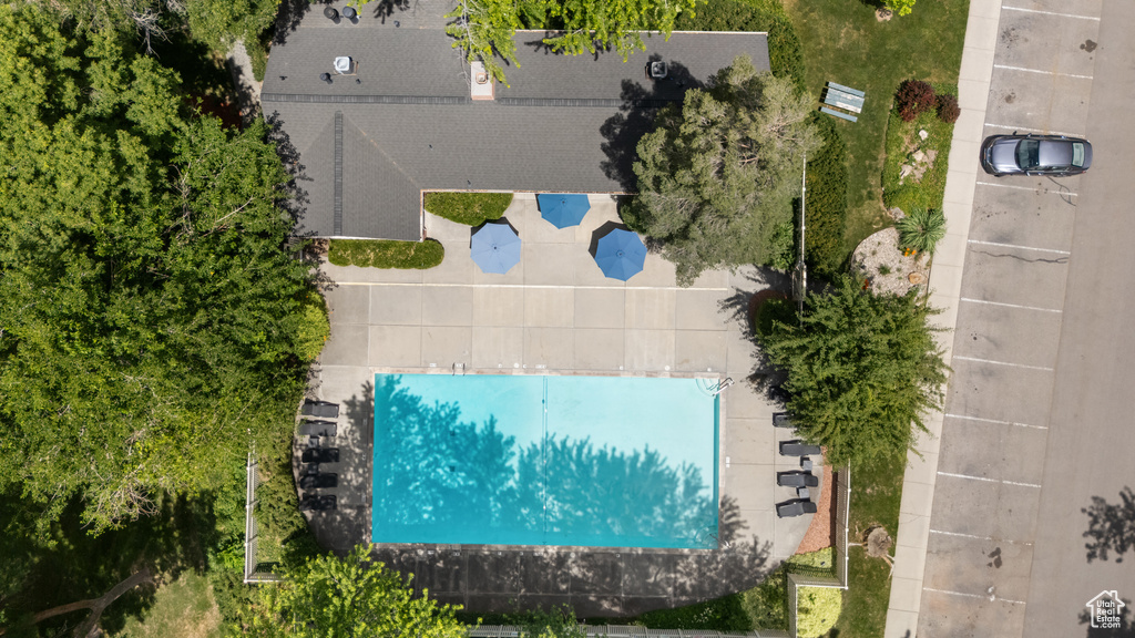 Drone / aerial view of a pool area