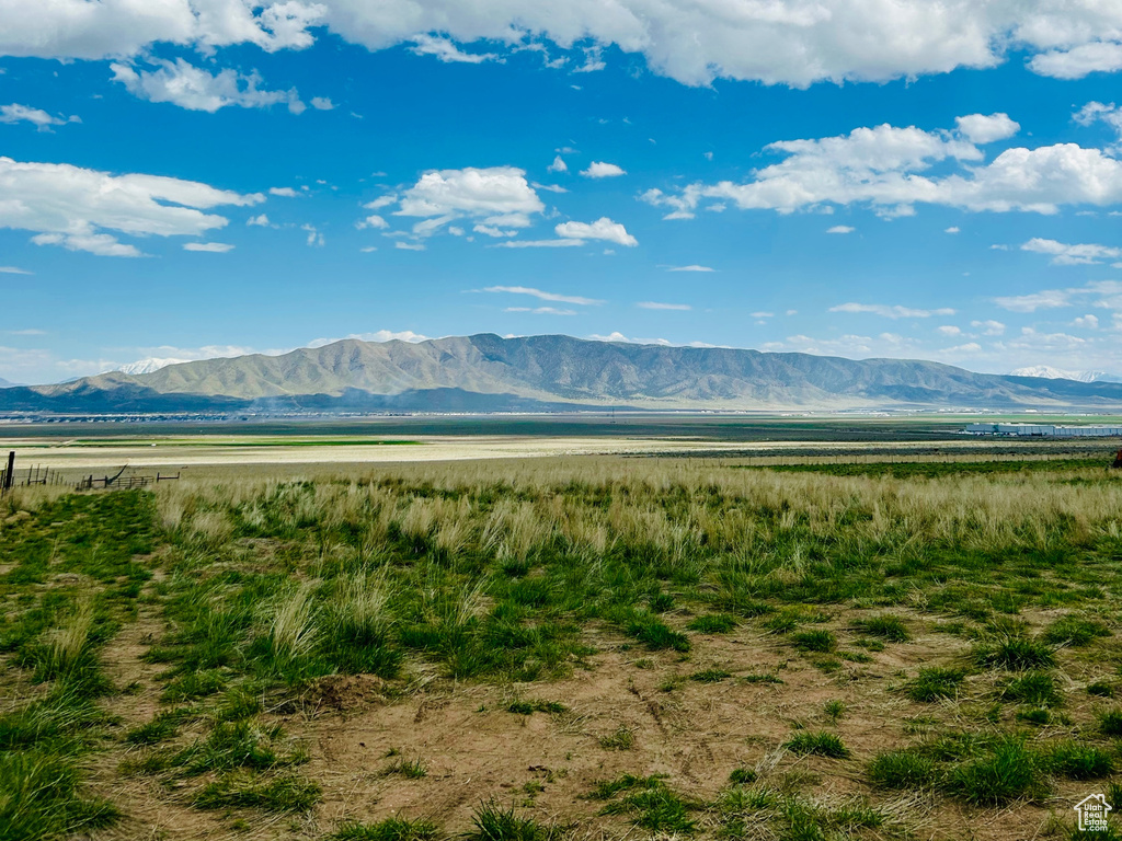 774 S CEDAR MEADOWS LN Cedar Fort, UT 84013