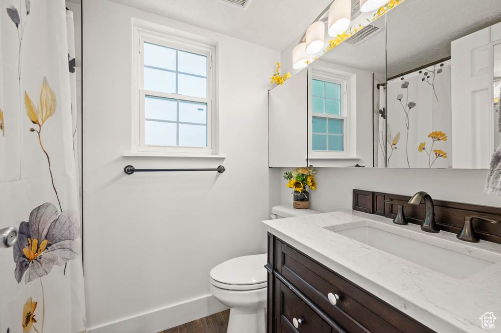Full bath featuring vanity, wood finished floors, plenty of natural light, and a shower with curtain
