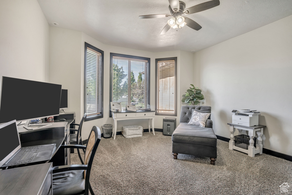 Home office with ceiling fan and carpet floors