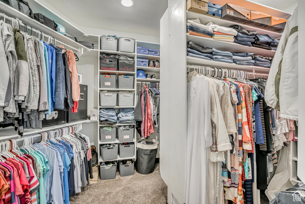 Spacious closet featuring carpet flooring