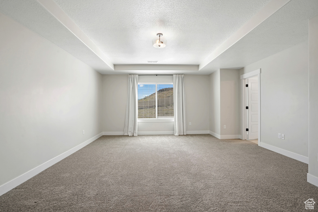 Spare room featuring light colored carpet, a textured ceiling, and a tray ceiling