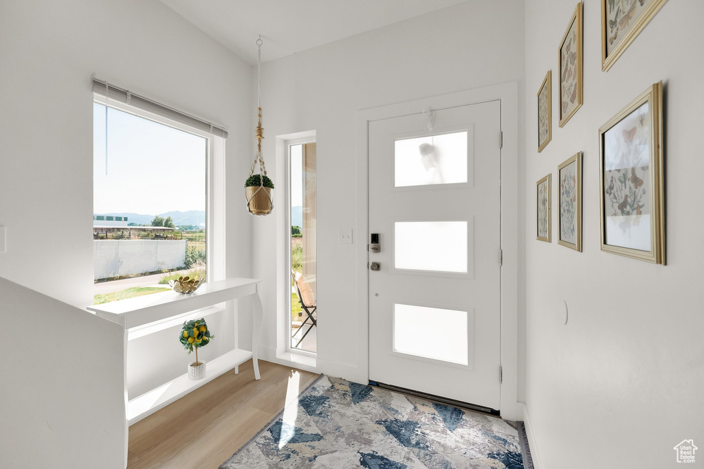 Entryway with wood finished floors