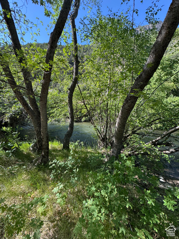 View of undeveloped land
