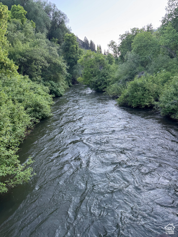 Water view with a heavily wooded area