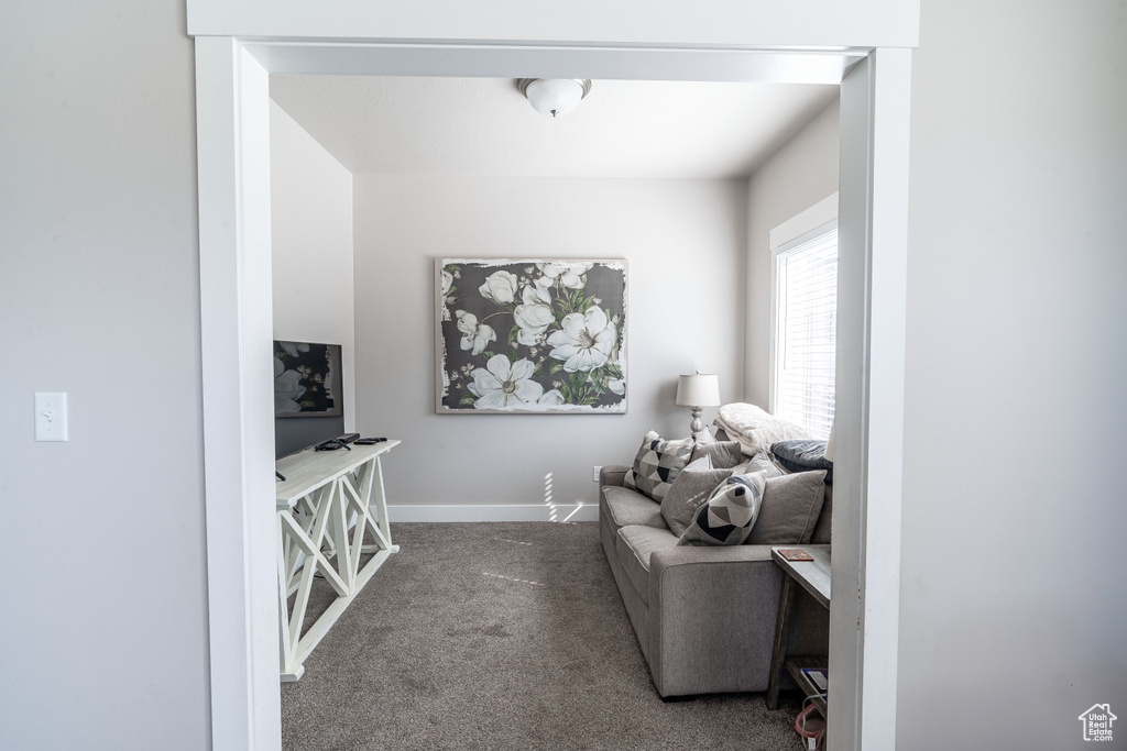 Living area featuring carpet and baseboards