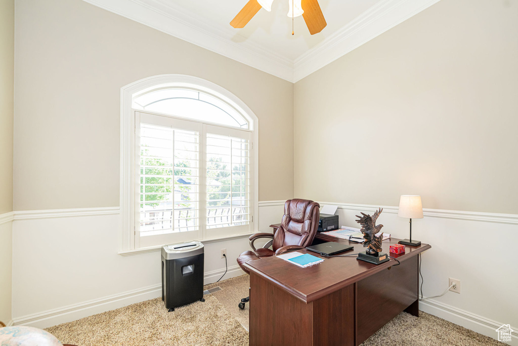 Carpeted home office with ceiling fan and crown molding