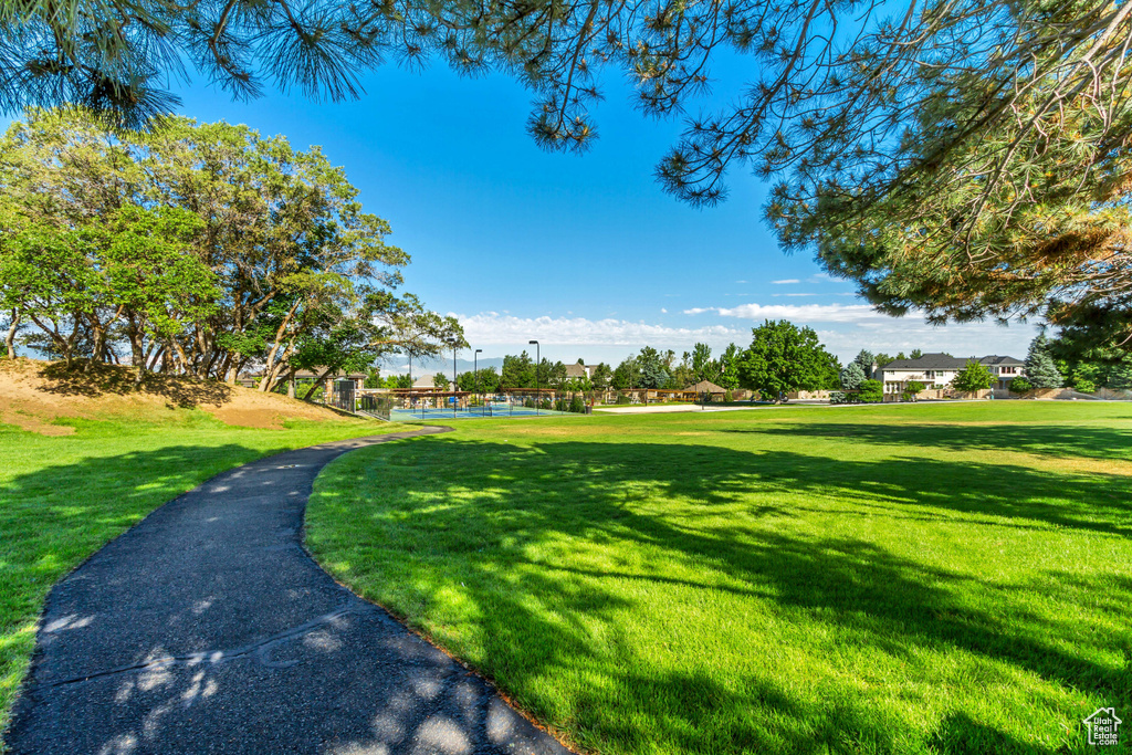View of community with a lawn