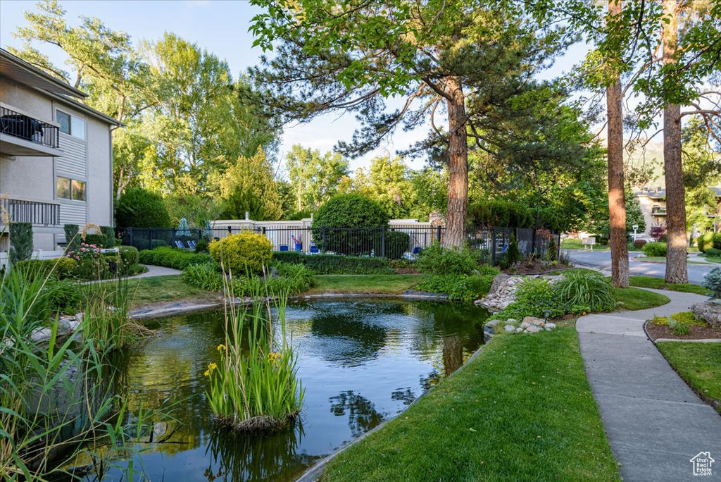 Water view with a garden pond