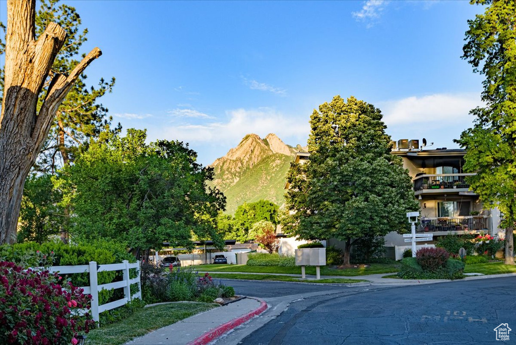 View of asphalt road with sidewalks and curbs