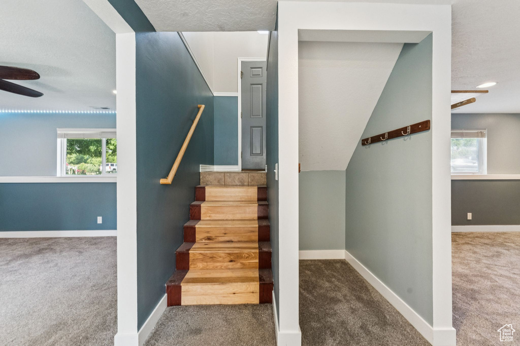 Stairs with carpet flooring, ceiling fan, and a textured ceiling