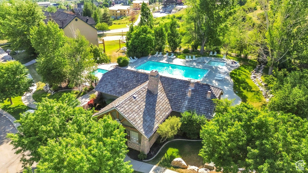 Bird's eye view of a pool