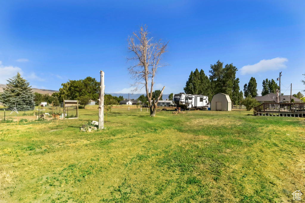 View of green lawn with a shed and a wooden deck