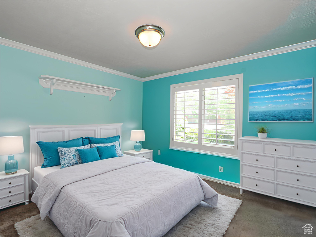 Bedroom with crown molding and carpet floors
