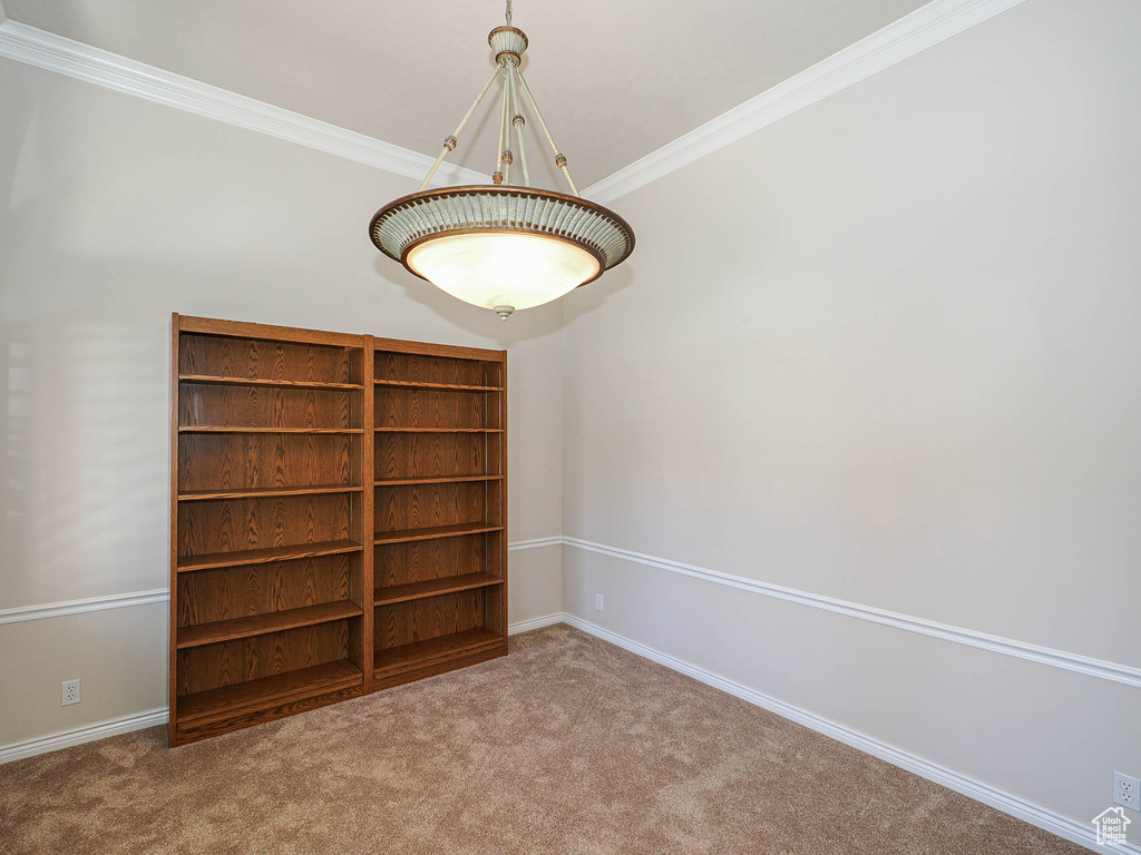 Unfurnished room with carpet floors and crown molding