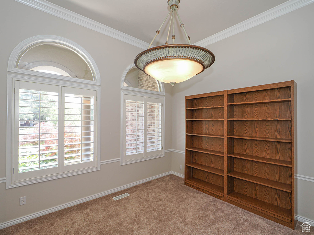 Unfurnished room with carpet, healthy amount of natural light, and crown molding