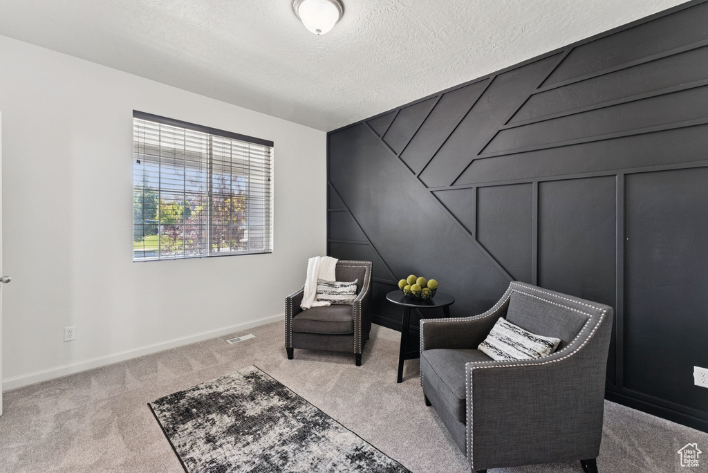 Living area featuring carpet floors and a textured ceiling