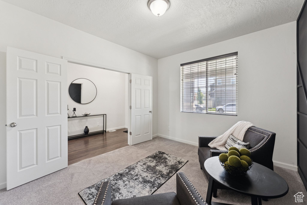 Sitting room with carpet and a textured ceiling