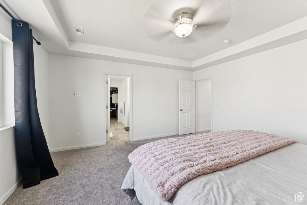 Carpeted bedroom featuring a raised ceiling and a ceiling fan