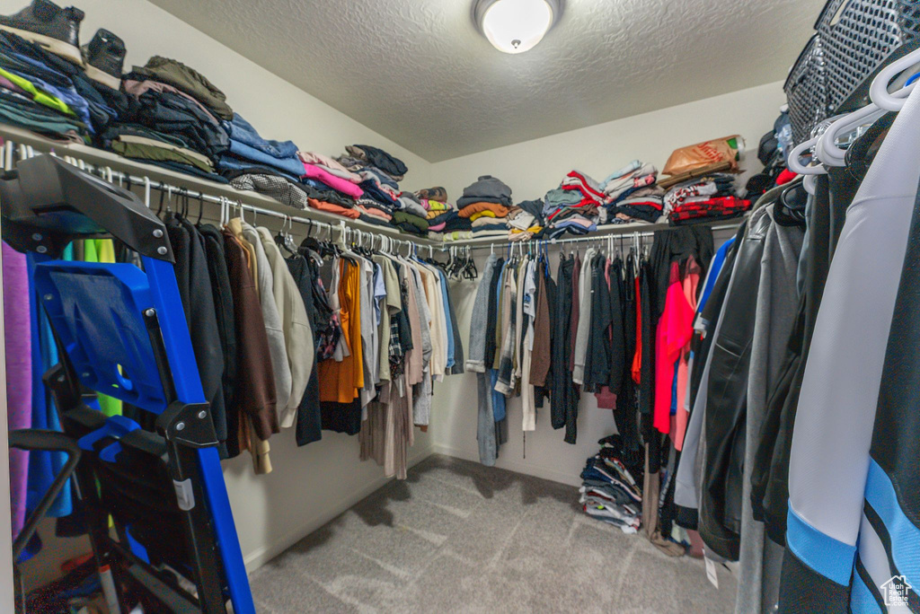Walk in closet with carpet