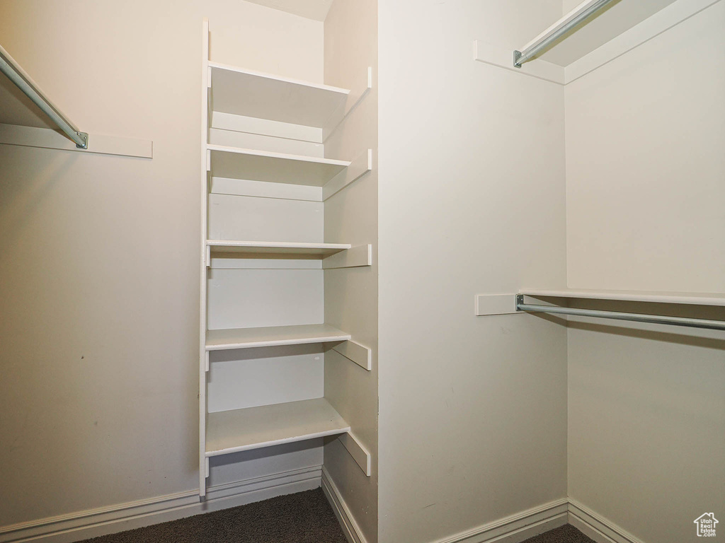View of walk in closet