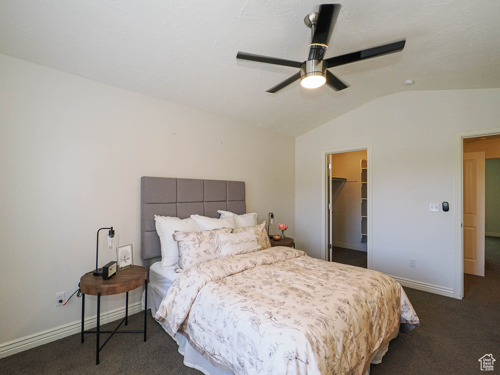 Bedroom featuring vaulted ceiling, carpet floors, a spacious closet, a ceiling fan, and a closet