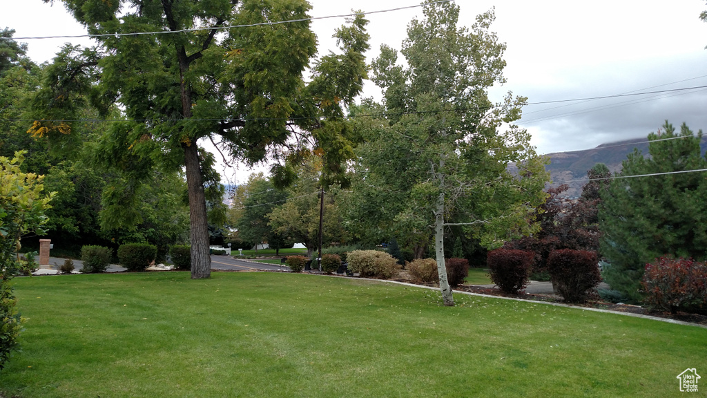 View of green lawn featuring a mountain view