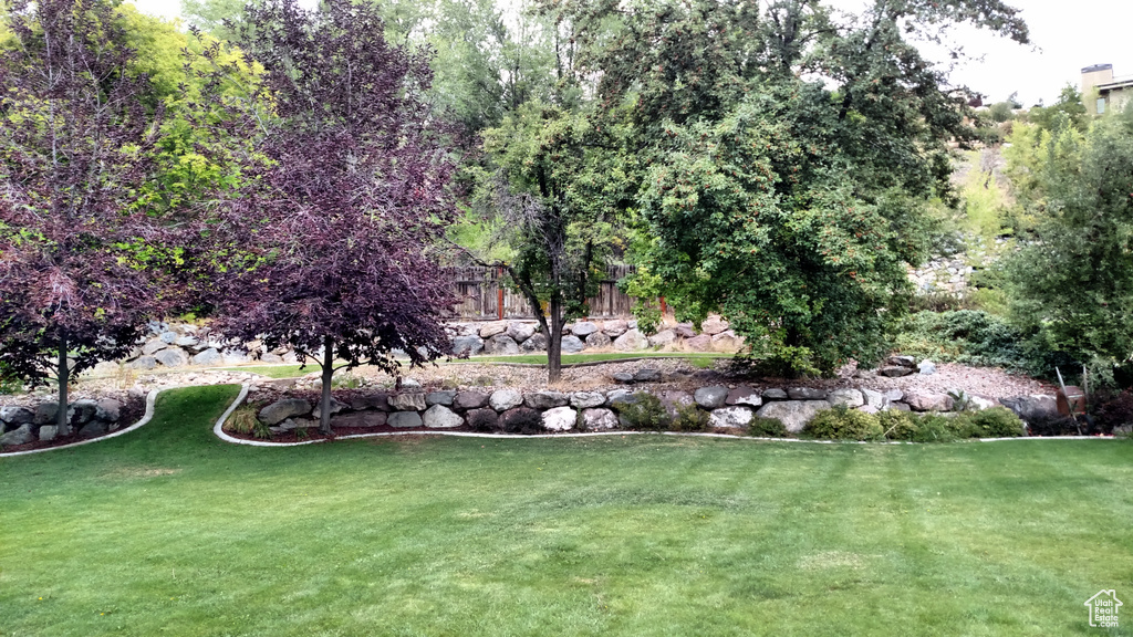 View of property's community with a yard