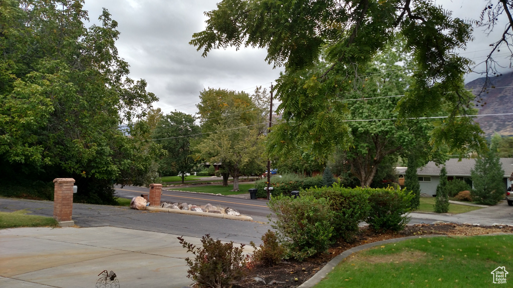 Surrounding community