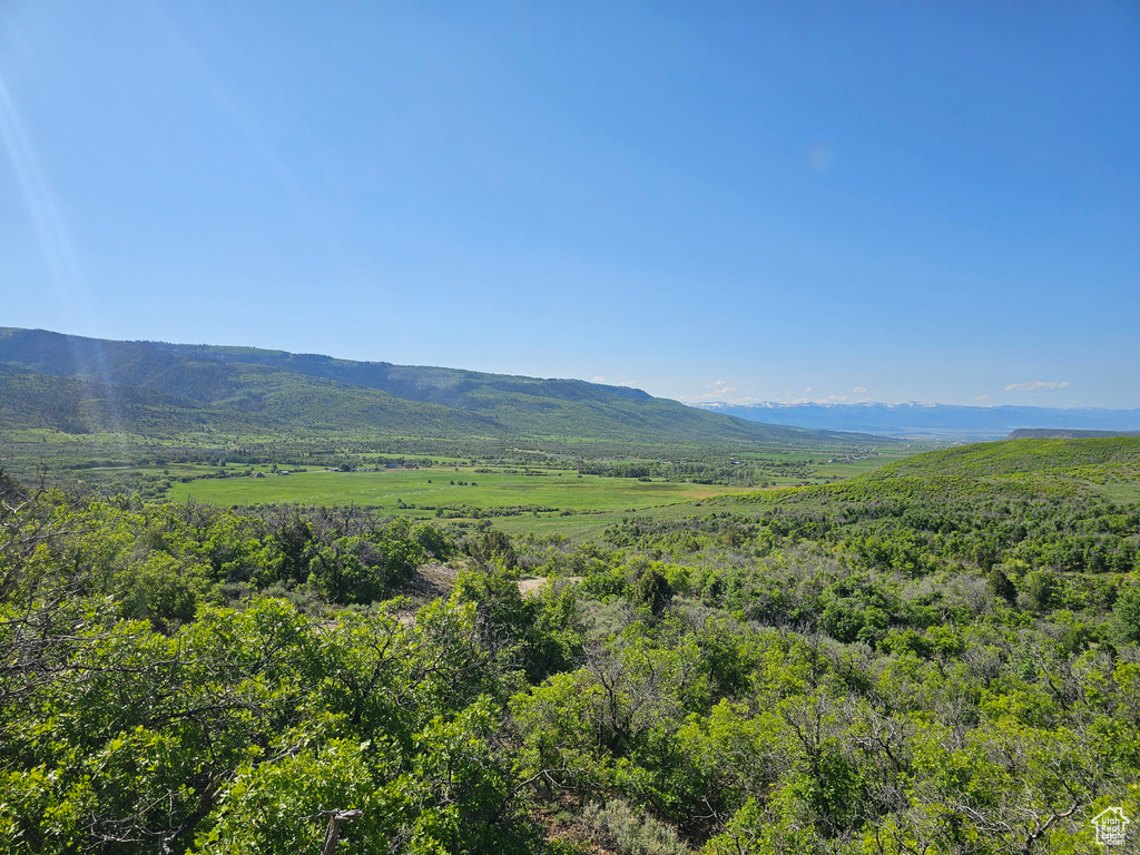 View of mountain background featuring a forest