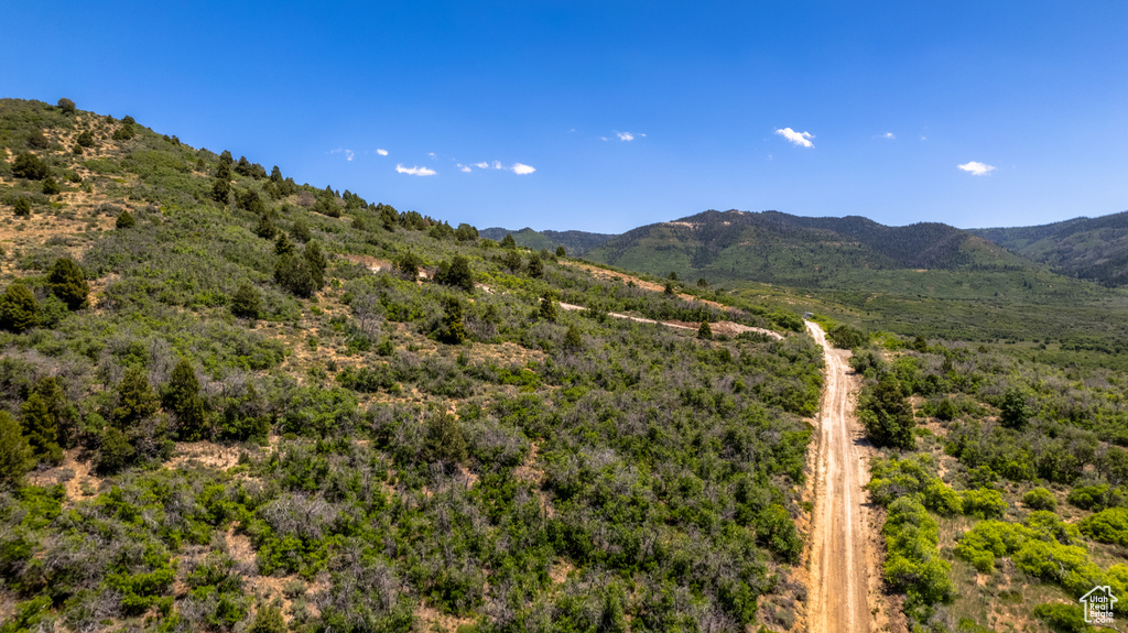 View of mountain background