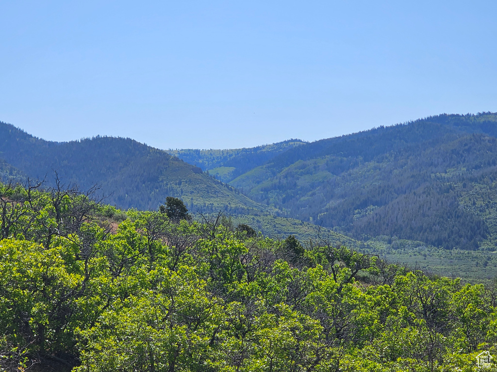 View of mountain background with a heavily wooded area
