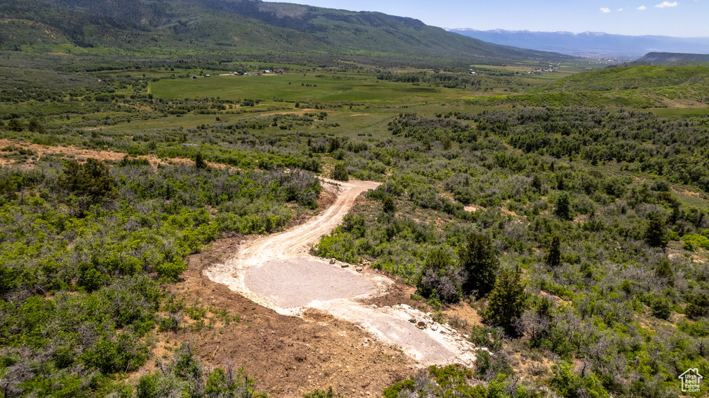 Drone / aerial view of mountains