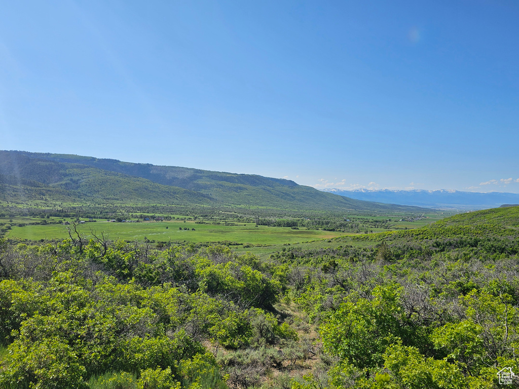 Mountain view