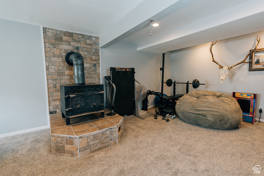 Living area featuring carpet flooring and a wood stove