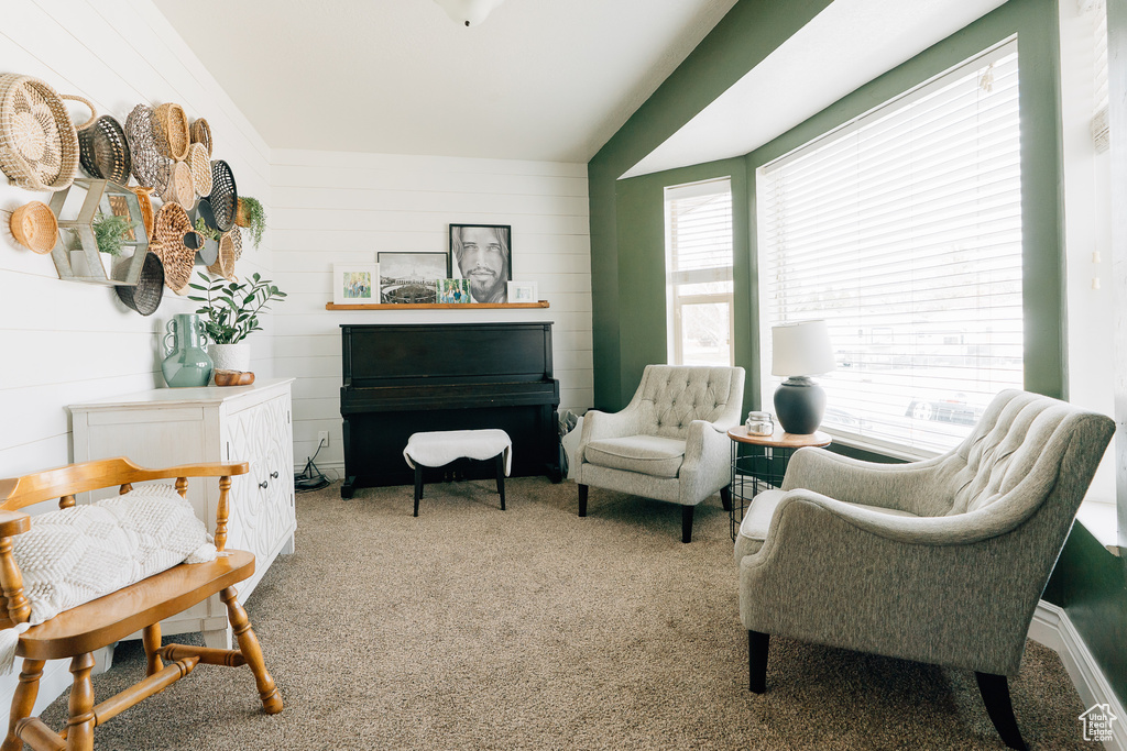 Sitting room featuring carpet and wooden walls