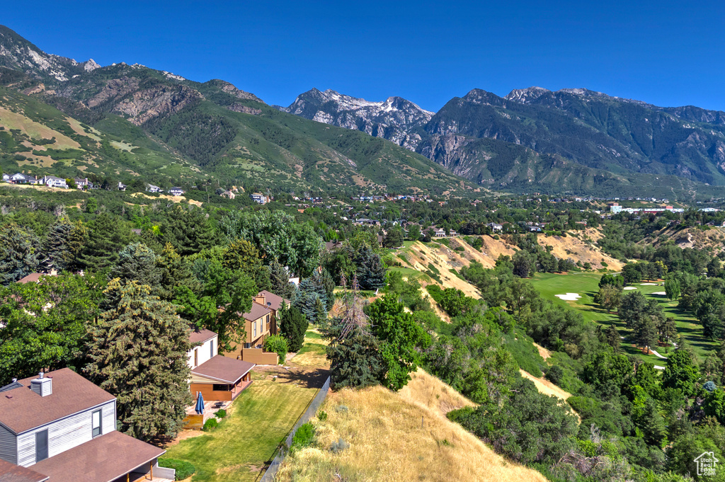 View of mountain background