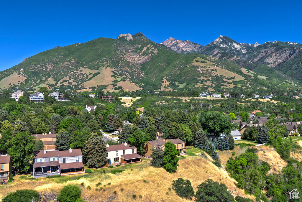 Mountain view