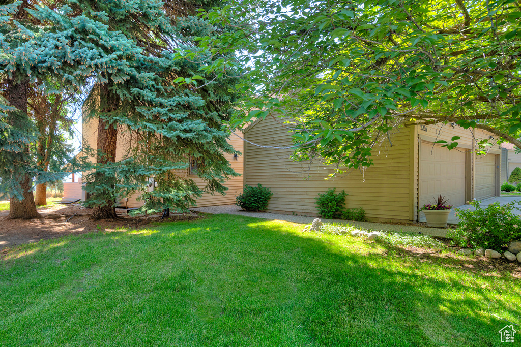 View of grassy yard