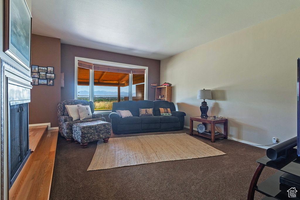 Living area featuring a fireplace and baseboards
