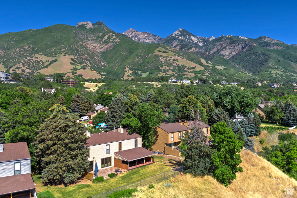 View of mountain background