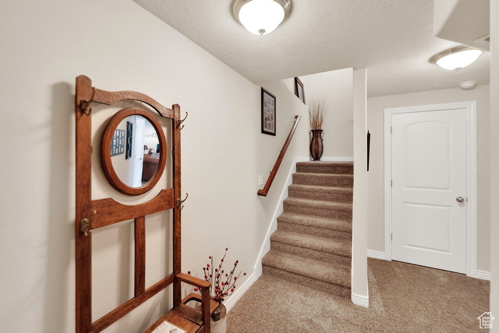 Stairway featuring carpet and a textured ceiling