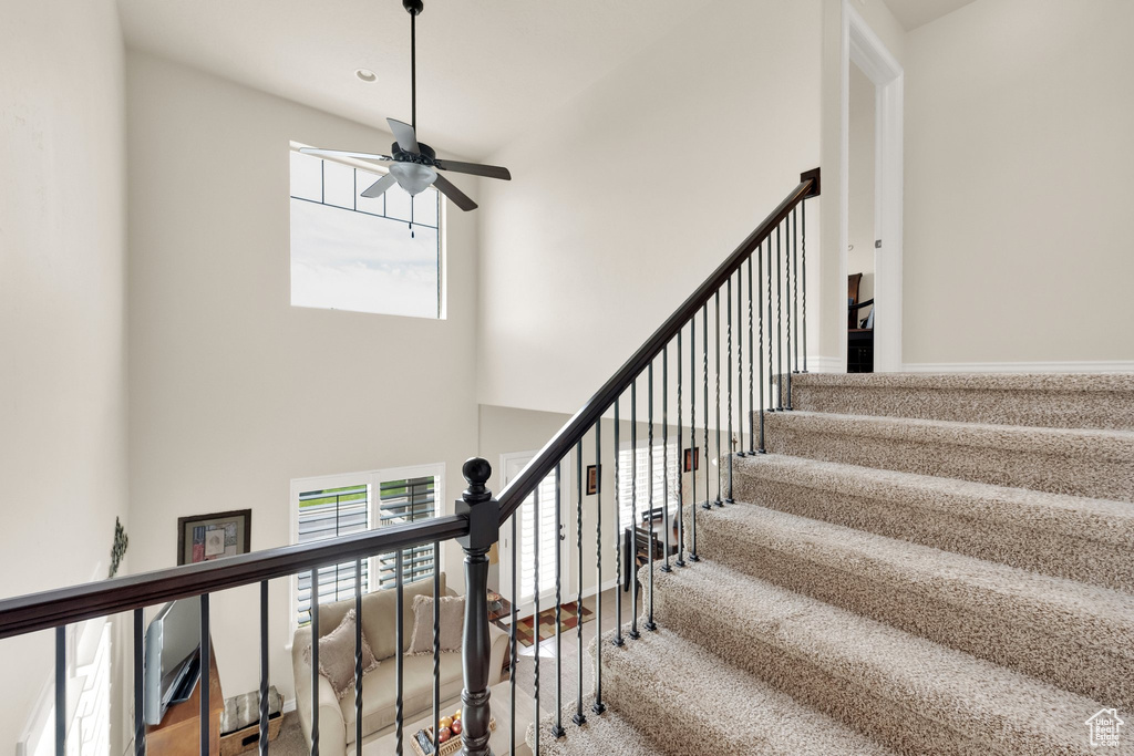 Staircase featuring ceiling fan, plenty of natural light, a high ceiling, and carpet flooring