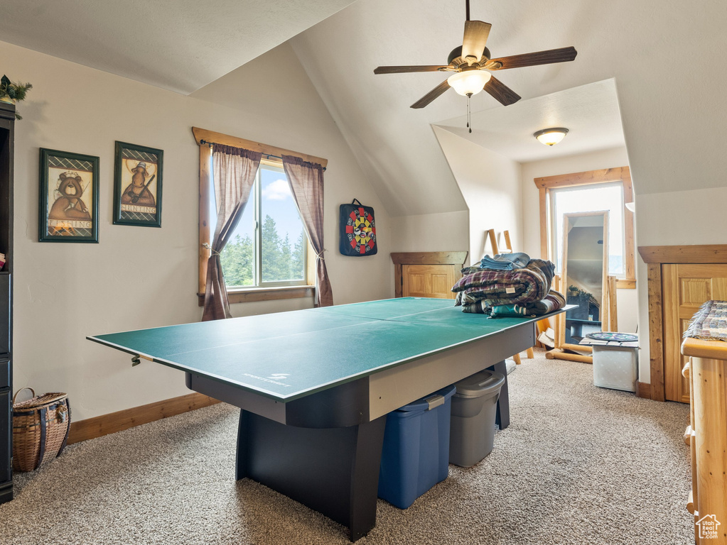 9070 COUGAR RD Lava Hot Springs, ID 83246