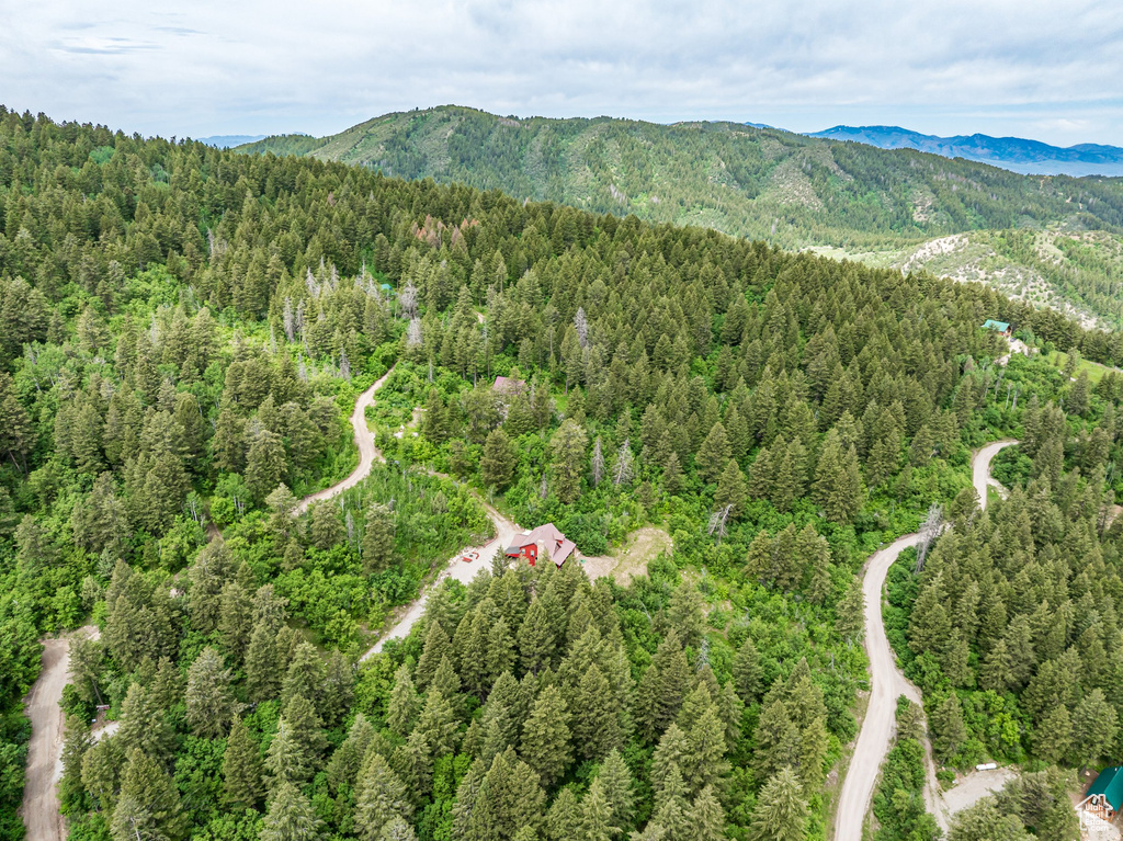 9070 COUGAR RD Lava Hot Springs, ID 83246
