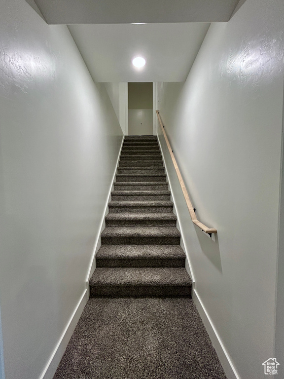 Stairway with carpet