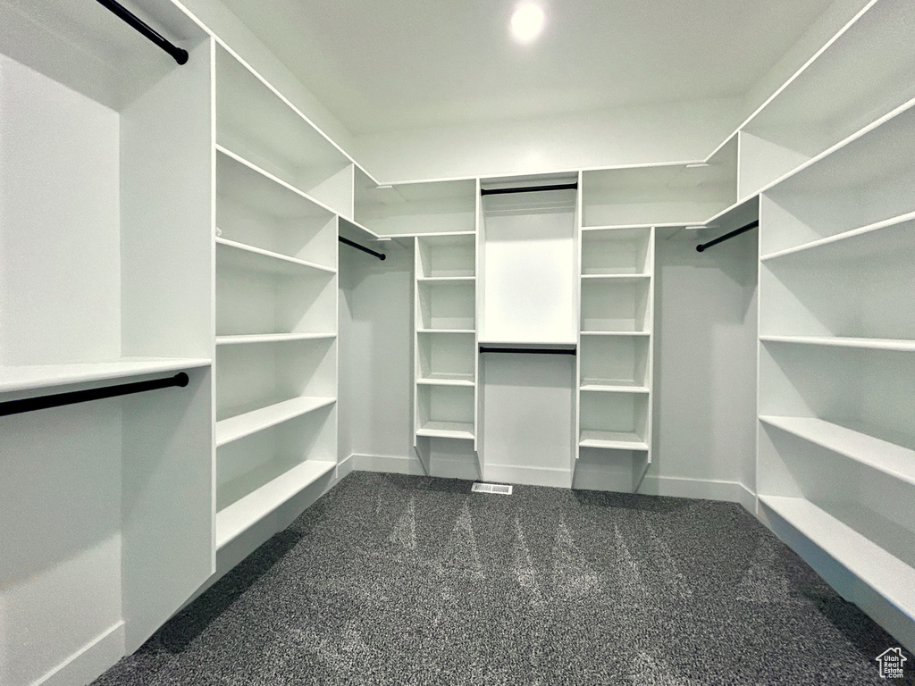 Spacious closet featuring dark colored carpet