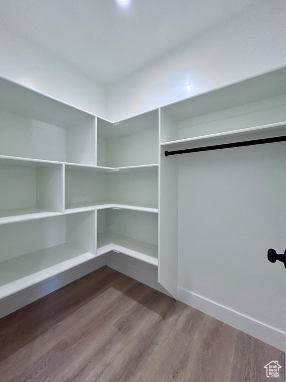 Spacious closet featuring dark wood-style flooring